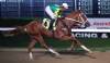 Jason Halstead Photo
                                No Show No Call winning the Frank Arnason Sire Stakes Wednesday night with jockey Ronald Ali