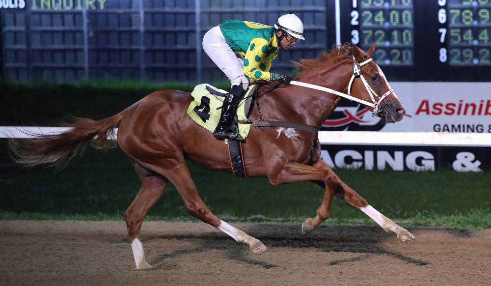 Jason Halstead Photo
No Show No Call winning the Frank Arnason Sire Stakes Wednesday night with jockey Ronald Ali
