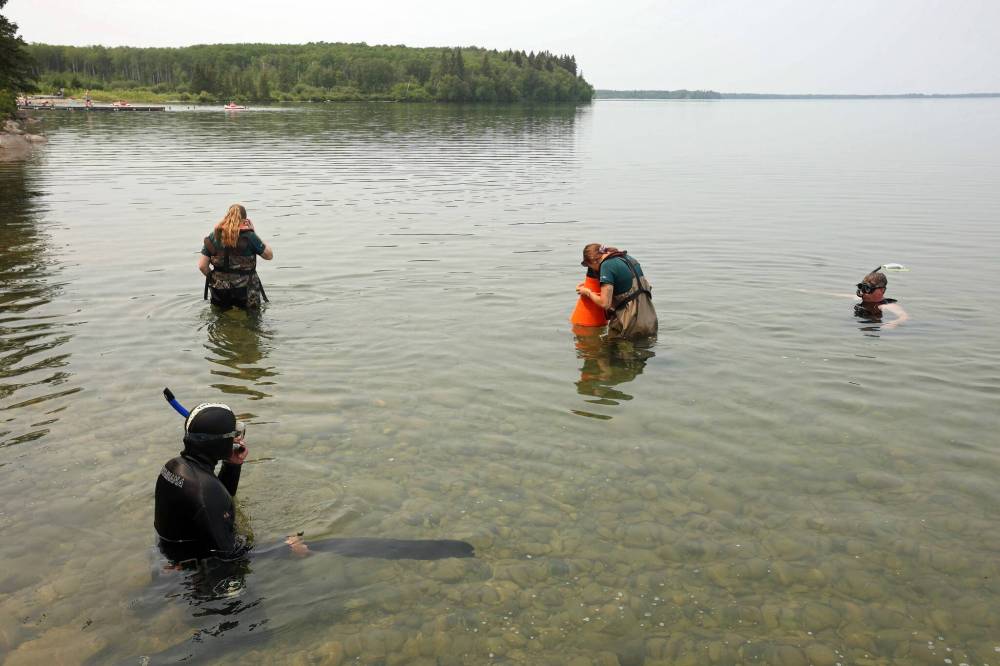 TIM SMITH / BRANDON SUN
Water samples collected in near Clear Lake’s main boat cove between June 19 and 27 have tested positive for zebra mussel DNA.