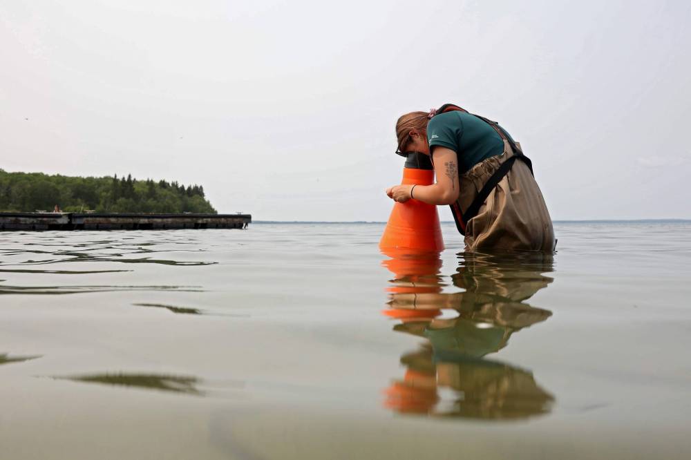 TIM SMITH / BRANDON SUN
A Parks Canada employee conducts visual inspections for signs of zebra mussels near the Clear Lake boat cove in Riding Mountain National Park on Friday. Parks Canada announced Friday they found evidence of localized zebra mussel infiltration at the boat cove.
