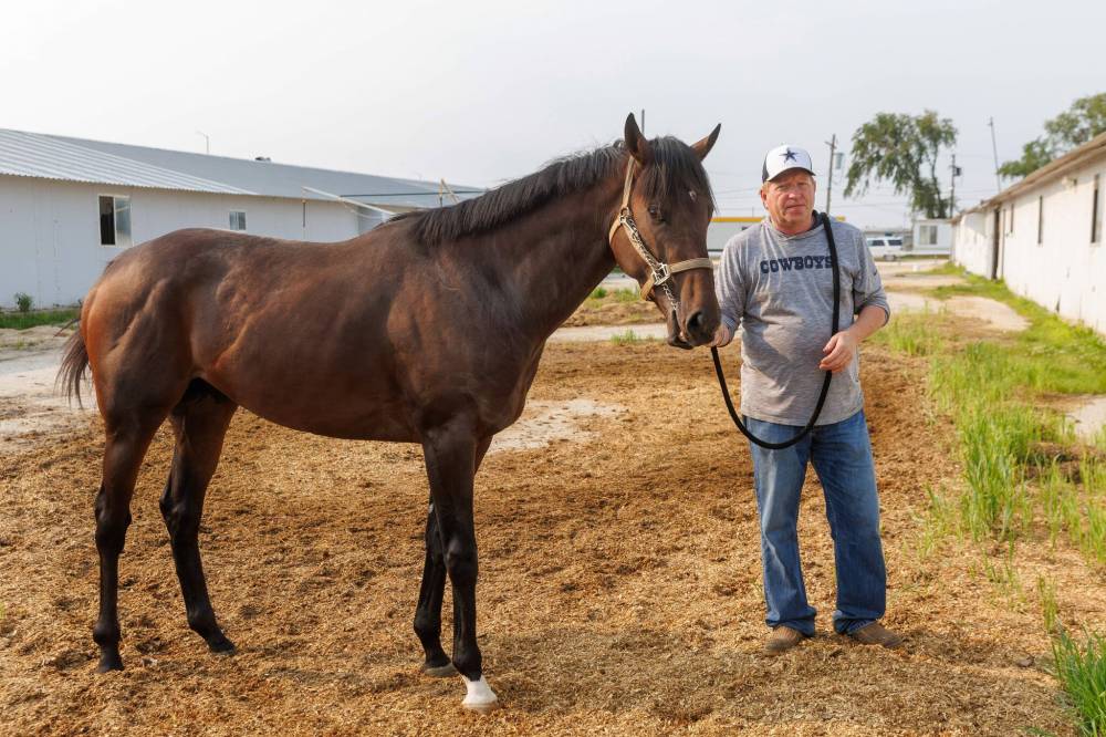 MIKE DEAL / FREE PRESS
Trainer Rick Wise with Mr Fillip who won the Derby Trial this past Monday.