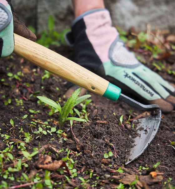 Traditional Japanese weeder (Lee Valley Tools)