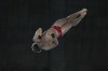 Canada's Rylan Wiens competes in the men's 10m platform diving preliminary, at the 2024 Summer Olympics, Friday, Aug. 9, 2024, in Saint-Denis, France. THE CANADIAN PRESS/AP-Lee Jin-man