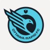 The Ottawa Rapid FC logo is shown in this handout photo. The Northern Super League team in the Nation's Capital will be known as Ottawa Rapid FC. THE CANADIAN PRESS/HO, Ottawa Rapid FC *MANDATORY CREDIT*