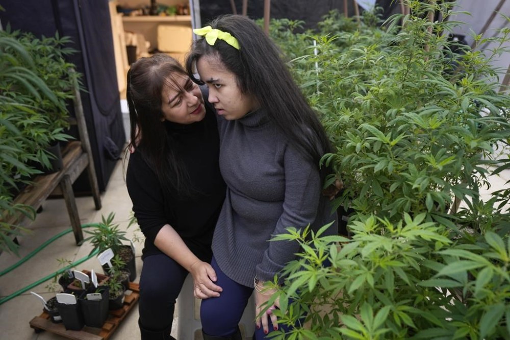 Maria Aparecida Carvalho sits with her daughter Clárian in their backyard next to the marijuana plants Carvalho cultivates for medicinal purposes, in Sao Paulo, Wednesday, July 10, 2024. Clárian was diagnosed at age 10 with Dravet Syndrome, a severe form of epilepsy that can cause cardiorespiratory arrests and lead to sudden death. (AP Photo/Andre Penner)