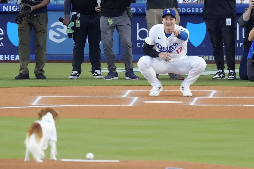 Los Angeles Dodgers' Shohei Ohtani summons his dog Decoy to deliver the ceremonial first pitch prior to a baseball game between the Dodgers and the Baltimore Orioles Thursday, Aug. 29, 2024, in Los Angeles. (AP Photo/Mark J. Terrill)