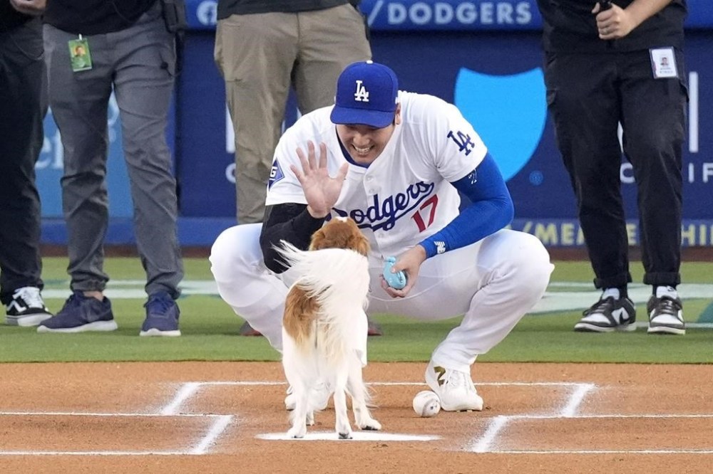 Los Angeles Dodgers' Shohei Ohtani congratulates his dog Decoy after Decoy delivered the ceremonial first pitch prior to a baseball game between the Dodgers and the Baltimore Orioles Thursday, Aug. 29, 2024, in Los Angeles. (AP Photo/Mark J. Terrill)