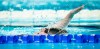 Danielle Dorris competes in the women’s 200m individual medley SM7 final during the Paralympic Games in Paris, France on August 31, 2024.THE CANADIAN PRESS/HO-CANADIAN PARALYMPIC COMMITTEE, Dave Holland, *MANDATORY CREDIT*