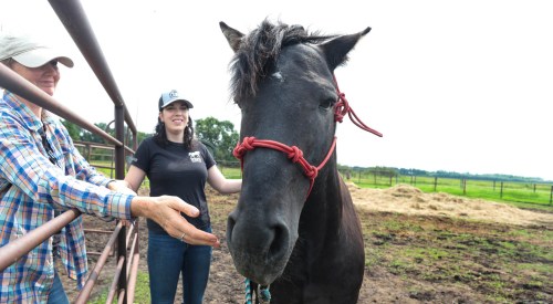 Ruth Bonneville / Free Press

ENT - Ojibwe horses

Michelle McConomy and her dad, Bob McConomy along with Gwen Donohoe (outside fence), who are looking after Chase, a 15-year-old Ojibwe stallion at Place: Sagehill Stables. 

Subject: Michelle McConomy, a student at Sagehill Stables, is the local caretaker of Chase, a stallion from Ontario and one of a few hundred Ojibwe horses left in the country. Will be meeting with Michelle and Sagehill owner Gwen Donohoe to hear about the breeding program their working on to keep Chase’s endangered lineage alive.


Eva Wasney's story

July 22nd,  2024