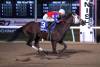 Bricklayer wins the 76th running of the Manitoba Derby on Monday night at Assinboia Downs for owner/trainer Larry Gourneau, Jr., with Luis Fuentes in the saddle. (Jason Halstead)