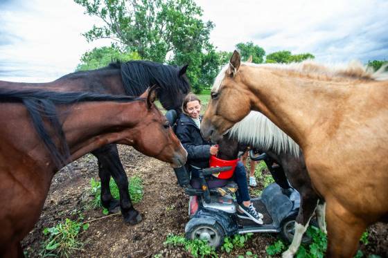 Alyssa Selman with her horses on her property west of Carman. (Mikaela MacKenzie / Free Press files)