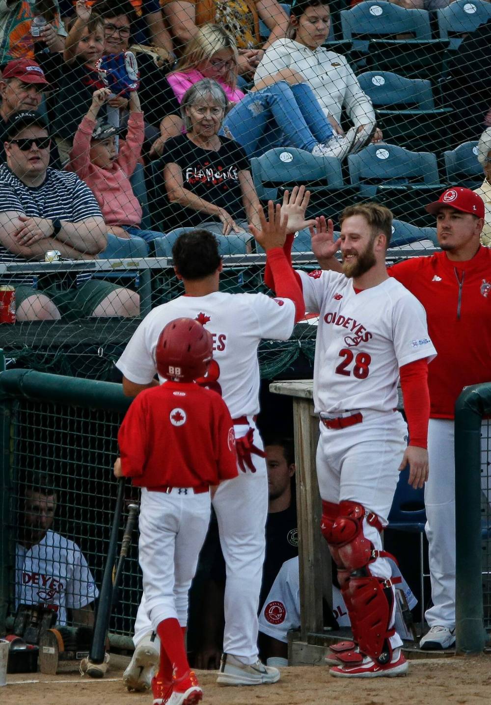 JOHN WOODS / WINNIPEG FREE PRESS
                                Winnipeg Goldeyes’ Dayson Croes (8) and Rob Emery (28) celebrate a run against the Sioux Falls Canaries in Winnipeg Tuesday night.