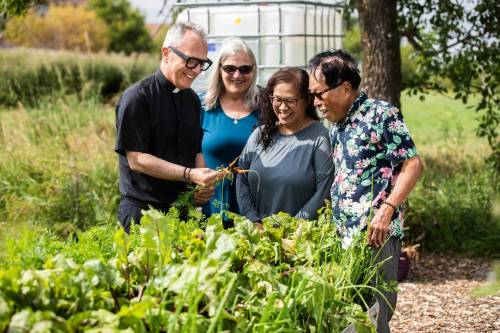 MIKAELA MACKENZIE / FREE PRESS
                                Father Darrin Gurr (left), Brenda Van Walleghem, Rachel Banmann, and Rod Cantivero at the new community garden at St. Gianna Beretta Molla Roman Catholic Church on Friday, Aug. 16, 2024. The church is using the space to grow food to give to Villa Rosa and Missionaries of Charity, who give it away to needy recipients in the city. For John Longhurst story. Winnipeg Free Press 2024