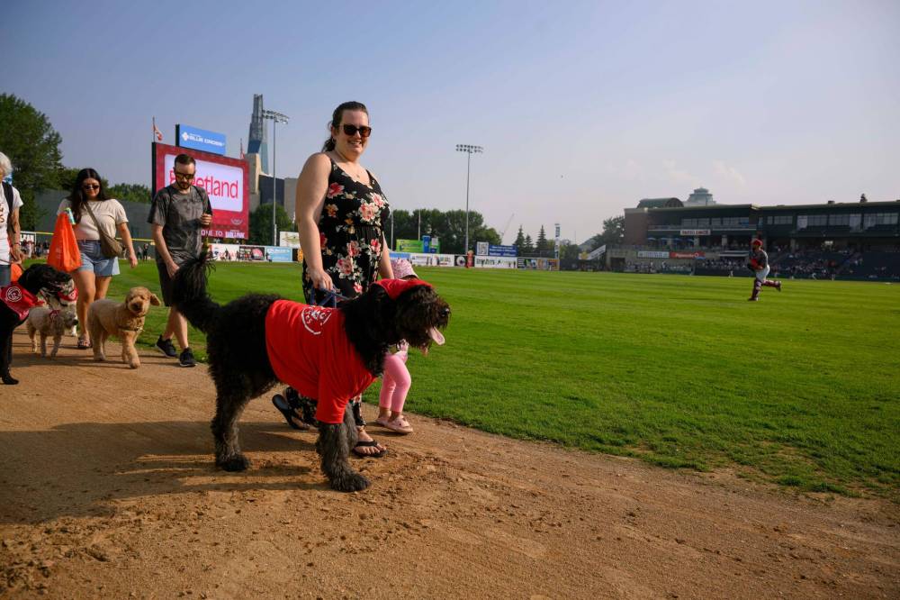MIKE SUDOMA / FREE PRESS
Canines took over Blue Cross Park for Saturday's Bark in the Park Goldeyes game.