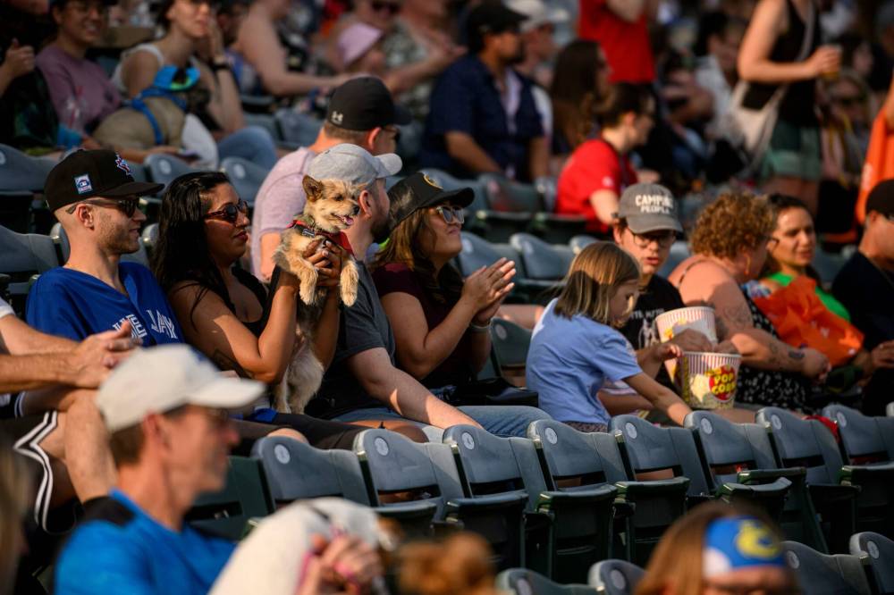 MIKE SUDOMA / FREE PRESS
The Bark in the Park game featured special activities and entertainment for dogs and their humans.