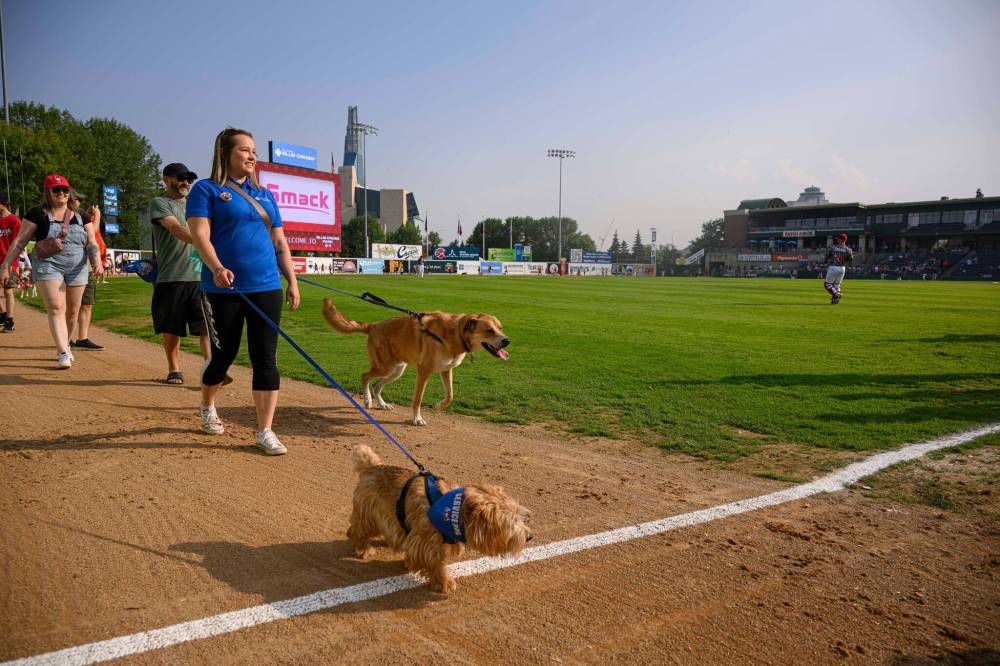 MIKE SUDOMA / FREE PRESS
Proceeds from the 50-50 draw at Saturday's game were set to support a local pet rescue.