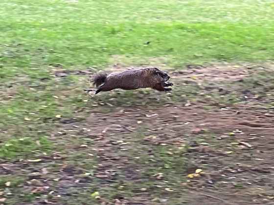 My foray into wildlife photography. (Mike McIntyre photo)