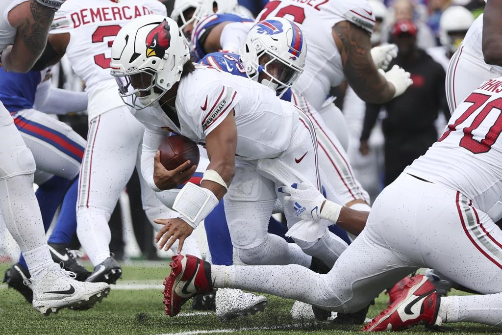 Bills edge rusher Greg Rousseau showing ‘Groot-like’ growth after 3 ...