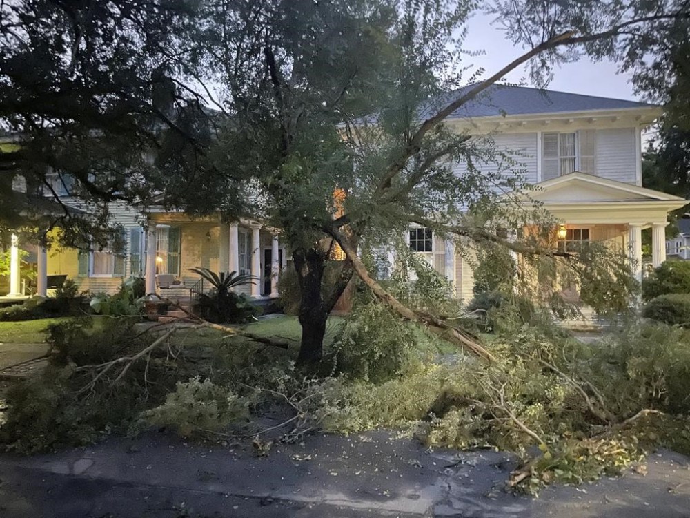 A mangled tree blocks covers part of the street in front of a house in New Orleans' Carrollton neighborhood as Hurricane Francine hit the city with high winds and flooding rain on Thursday, Sept. 12, 2024. (AP Photo/Kevin McGill)