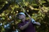 Patton Kizzire hits from the eighth tee during the first round of the Procore Championship PGA golf tournament at the Silverado Resort North Course in Napa, Calif., Thursday, Sept. 12, 2024. (AP Photo/Jeff Chiu)