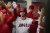 Los Angeles Angels' Taylor Ward (3) celebrates in the dugout after scoring off of a single hit by Nolan Schanuel during the first inning of a baseball game against the Houston Astros in Anaheim, Calif., Saturday, Sept. 14, 2024. (AP Photo/Ashley Landis)