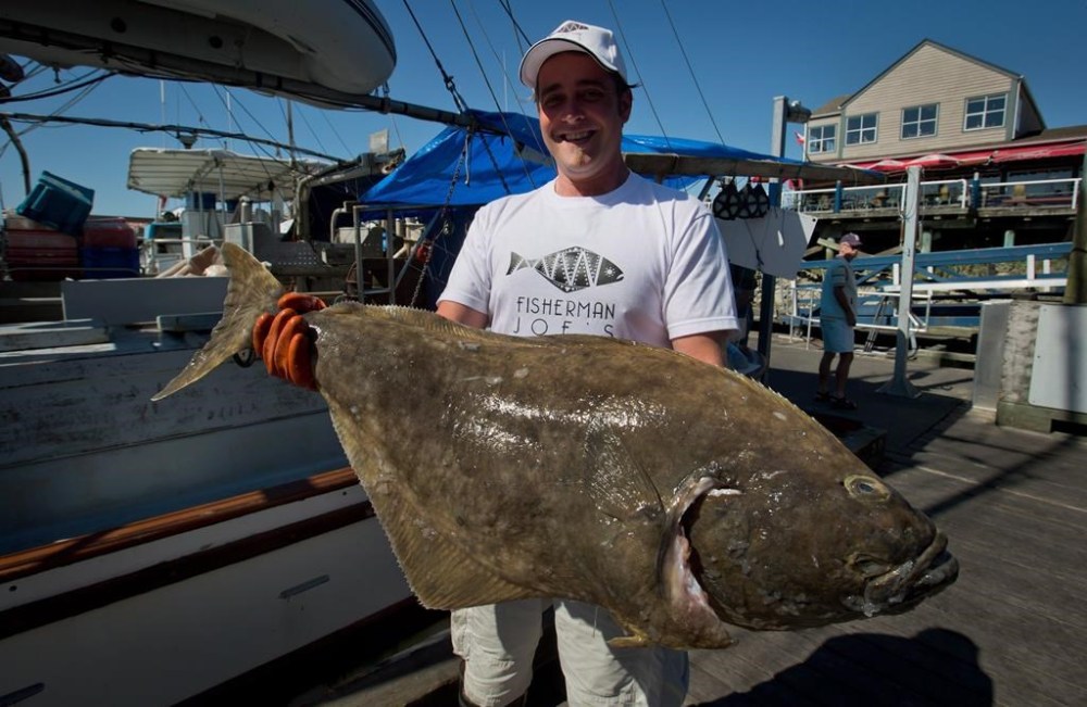 The federal Fisheries Department says it has reached an agreement with France allowing fishers from the tiny archipelago near Newfoundland a portion of the annual Atlantic halibut catch. A man displays a 17-pound halibut in Richmond, B.C., on Friday, Aug. 31, 2012. THE CANADIAN PRESS/Darryl Dyck