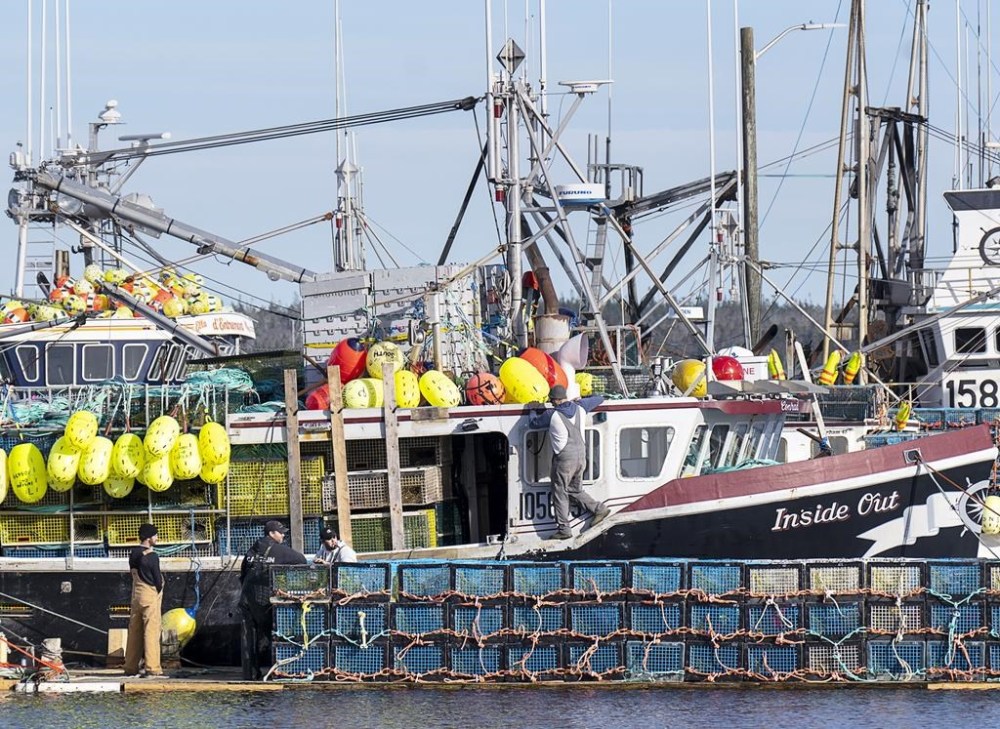 The federal Fisheries Department says it's concerned about a