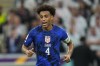 FILE - Tyler Adams of the United States runs on the pitch during the World Cup group B soccer match between England and The United States, at the Al Bayt Stadium in Al Khor, Qatar, on Nov. 25, 2022. (AP Photo/Julio Cortez, File)