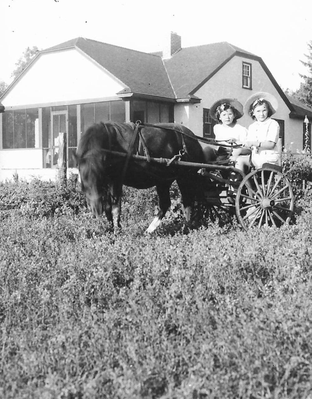 SUPPLIED
As children, Lorraine (right) and her sister, Valerie, often travelled to a one-room school in Starbuck in a horse-pulled cart or sled.