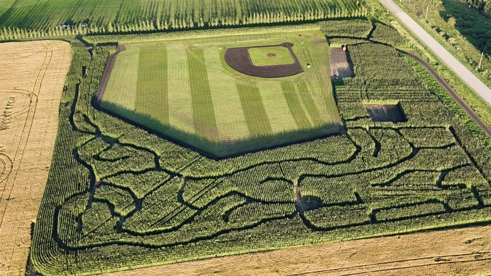 SUPPLIED
The diamond
is surrounded by
six acres of
cornstalks.