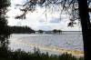 TIM SMITH / BRANDON SUN FILES
                                The damaged curtain, designed to contain zebra mussels, is no longer effective.