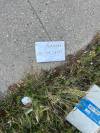 FILE
                                Litter on McPhillips Street.