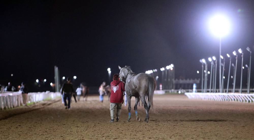 J.Halstead / Assiniboia Photo
Race 8 at Assiniboia Downs.