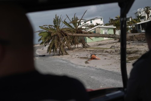 FILE - Toppled palm tress lie alongside a road in Bradenton Beach on Anna Maria Island, Fla., Oct. 10, 2024. (AP Photo/Rebecca Blackwell, File)