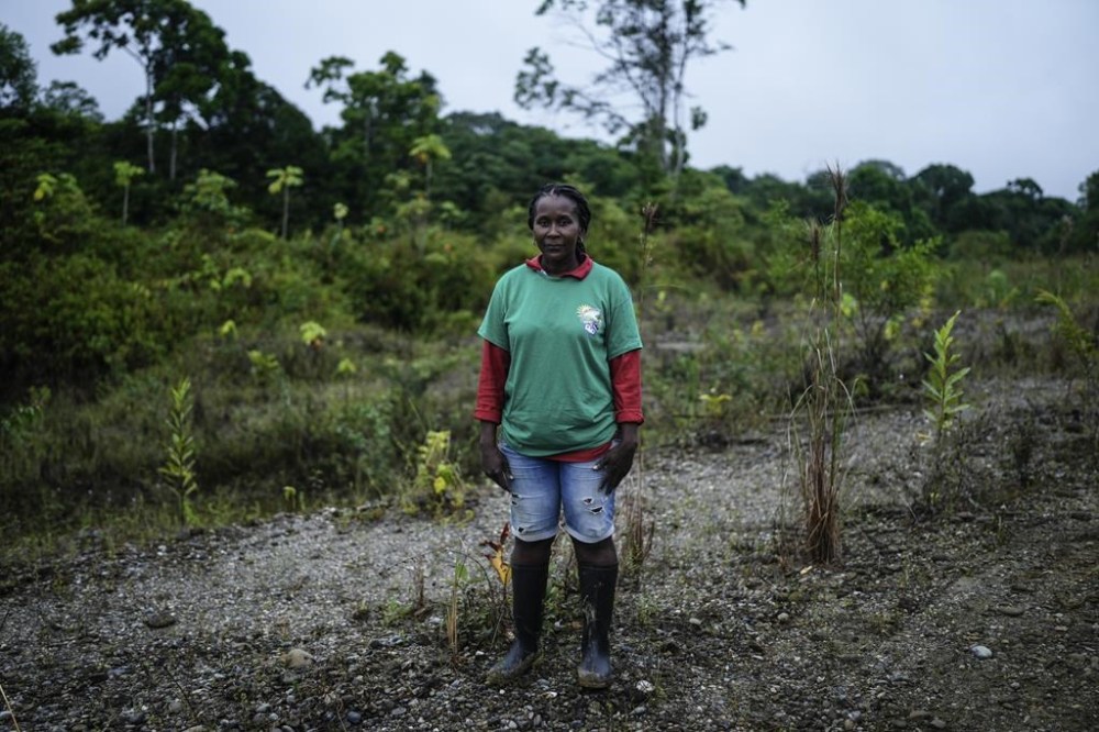 Dioselina Palacios, part of Asociacion Nuestra Casa Comun, or Our Community House Association, poses for a photo while reforesting an area near Paimado, Colombia, Tuesday, Sept. 24, 2024. (AP Photo/Ivan Valencia)