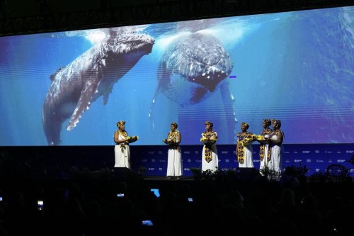 Afro-Colombian women perform during the opening ceremony of COP16, a United Nations' biodiversity conference, in Cali, Colombia, Sunday, Oct. 20, 2024. (AP Photo/Fernando Vergara)