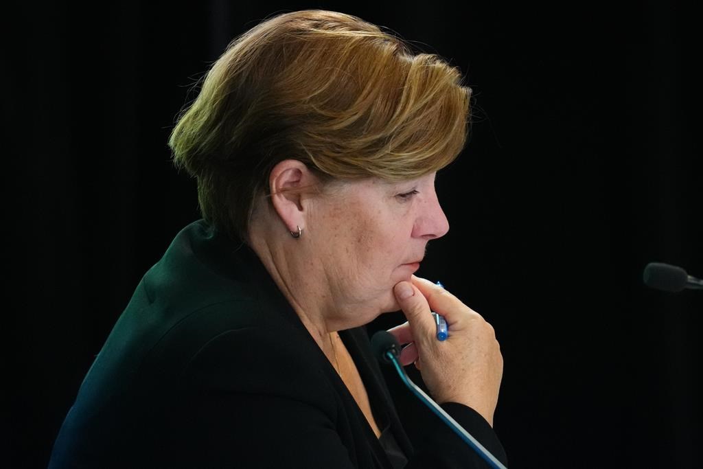 Public inquiry grapples with definition of foreign interference in its