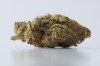 Marijuana is shown in Toronto, Nov. 5, 2017. The Manitoba government is extending a temporary moratorium on some new cannabis outlets. THE CANADIAN PRESS/Graeme Roy