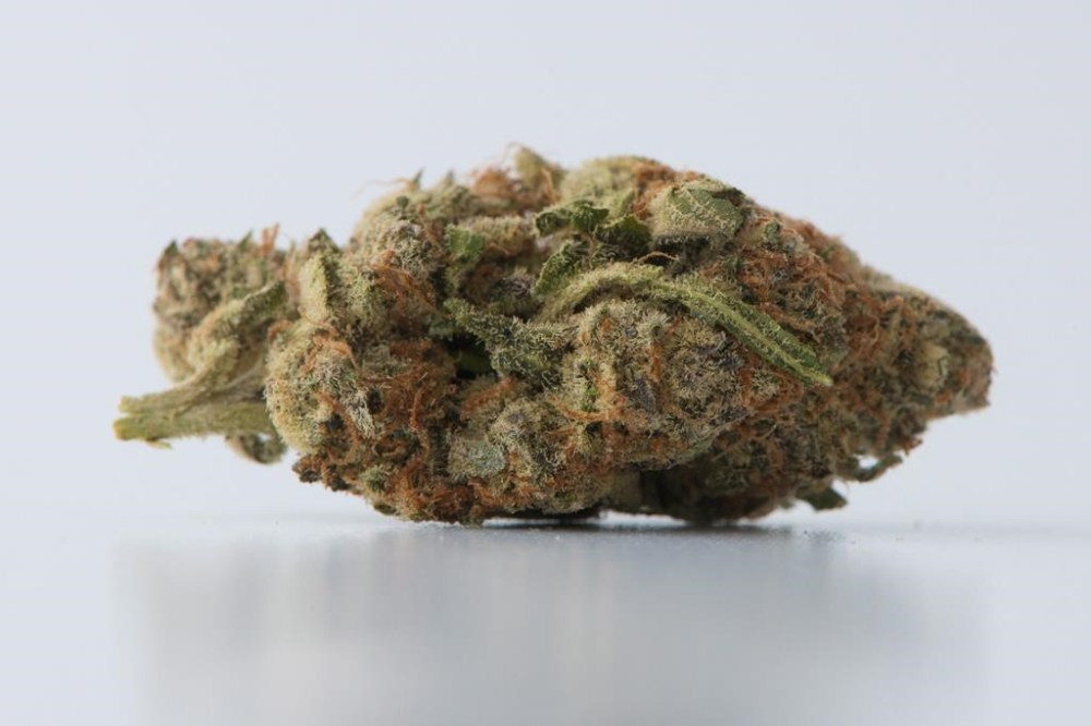 Marijuana is shown in Toronto, Nov. 5, 2017. The Manitoba government is extending a temporary moratorium on some new cannabis outlets. THE CANADIAN PRESS/Graeme Roy