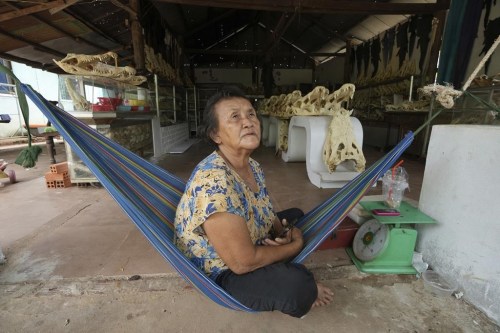 Crocodile farmer Ry Lean, 73, speaks with The Associated Press at her home in Siem Reap province, Cambodia, on Aug. 2, 2024. (AP Photo/Heng Sinith)