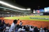 Fans watch a broadcast of Game 4 of baseball's World Series between the Los Angeles Dodgers and the New York Yankees at Cosm in Inglewood, Calif., Tuesday, Oct. 29, 2024. (AP Photo/Jae C. Hong)