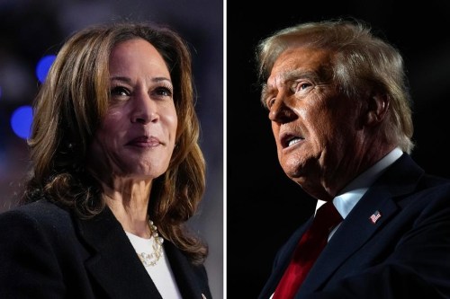 Americans are facing a decision about the future of their country and no matter which president they ultimately choose Canada cannot escape the pull of political polarization from its closest neighbour. This combination of photos shows Democratic presidential nominee Vice President Kamala Harris, left, speaking during a rally in Charlotte, N.C., Sept. 12, 2024, and Republican presidential nominee former President Donald Trump, right, speaking during a rally in Warren, Mich., Nov. 1, 2024. THE CANADIAN PRESS/AP