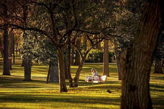 Caitlyn Bartisz reads a book as she enjoys the unseasonably warm weather and fall colours at Kildonan Park on Tuesday. Temperatures in Winnipeg are forecast to stay above normal through Sunday. (John Woods / Winnipeg Free Press)