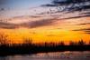 MIKAELA MACKENZIE /FREE PRESS FILES
                                The sunset goose flight at Fort Whyte Alive.