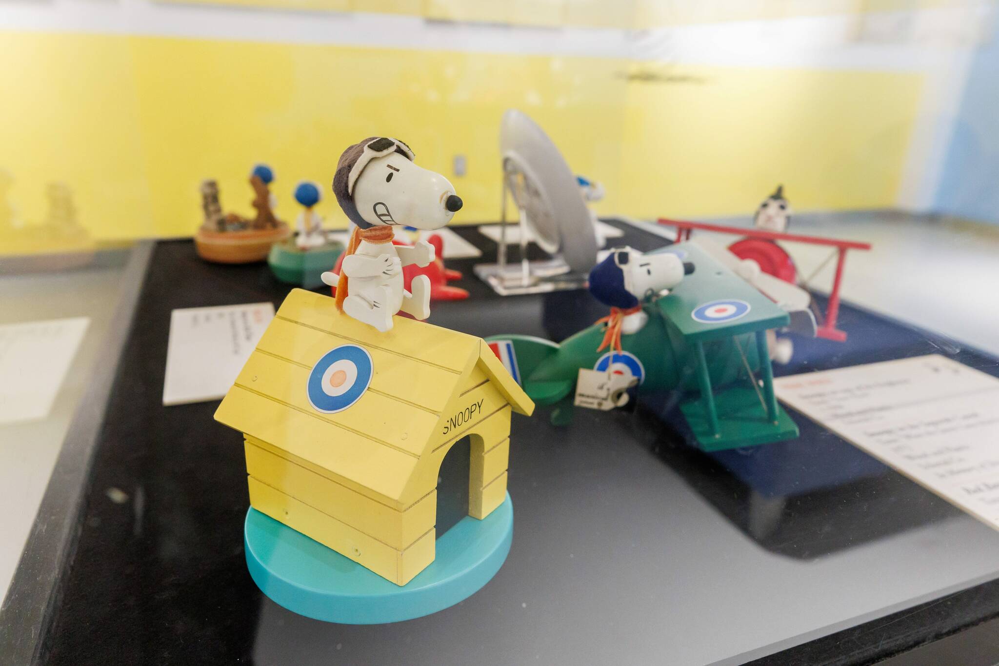 Aces high – Winnipeg Free Press