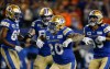Winnipeg Blue Bombers' Brady Oliveira (20) celebrates his touchdown against the Edmonton Elks during first half CFL action in Winnipeg Friday, September 27, 2024. THE CANADIAN PRESS/John Woods