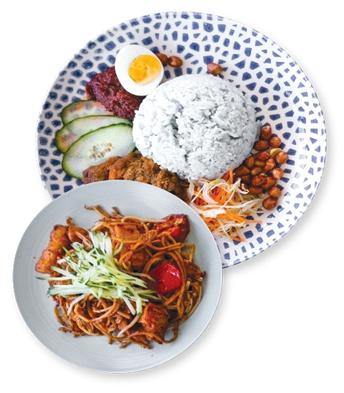 Two dishes of Malaysian food