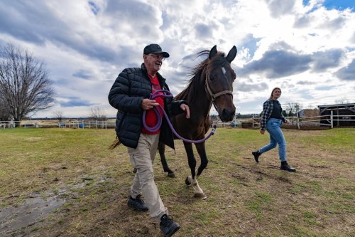 Christian, a Canadian Armed Forces veteran takes out a rescue horse, as social worker Marie-Pier Dusseault walks alongside, at Equi-Sens, a program which incorporates horses as a means of therapy for veterans facing post-traumatic stress, in Mirabel, Que., on Thursday, Nov. 6, 2024. THE CANADIAN PRESS/Christinne Muschi