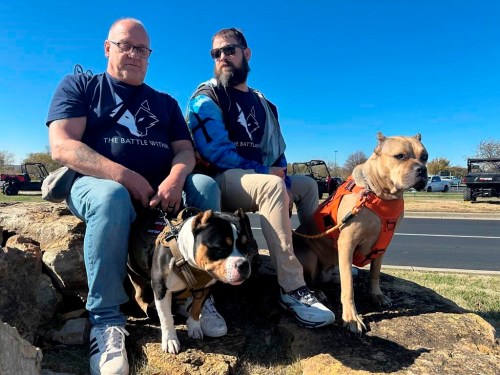 Retired Army First Sgt. Timothy Siebenmorgen, left, and retired Marine Corps Cpl. Mark Atkinson sit with their service dogs, Rosie and Lexi on Thursday, Nov. 7, 2024, in Kansas City, Kan., during a group training session. Both veterans are part of Dogs 4 Valor that helps retired veterans and first responders in the Kansas City area work with their service dogs to help manage depression, anxiety and other challenges. (AP Photo/Nick Ingram)
