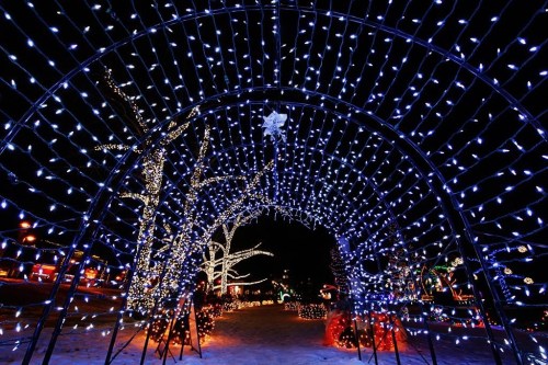 A view of the winter village in Sylvan Lake, Alta., is seen in an undated handout photo. The Alberta town, located approximately 10 kilometres west of Red Deer, could have its unofficial holiday season kickoff delayed by suspected Grinch-like vandalism. THE CANADIAN PRESS/HO-Town of Sylvan Lake, One Wolf Creative, *MANDATORY CREDIT*
